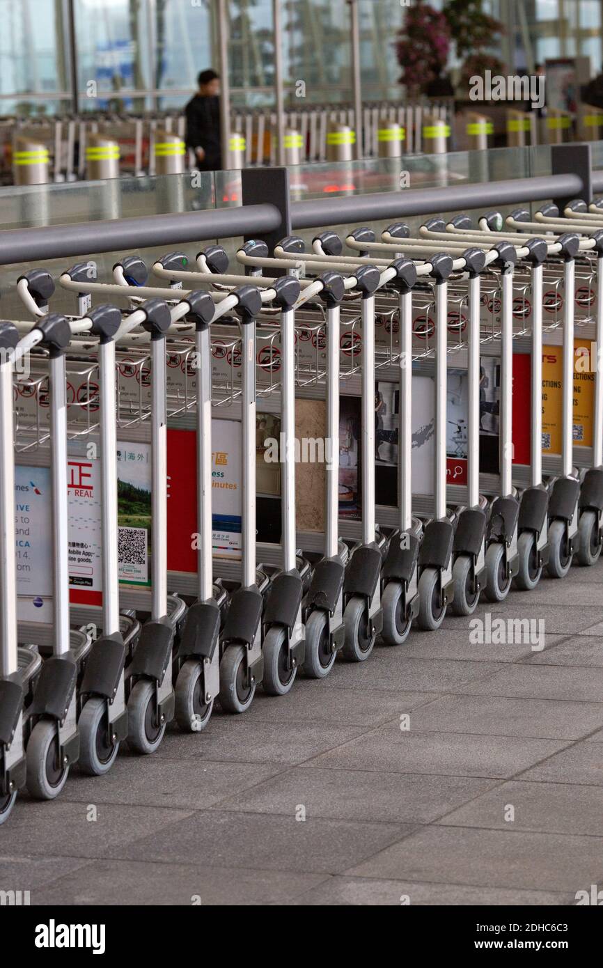 Rows of luggage trolleys Stock Photo Alamy