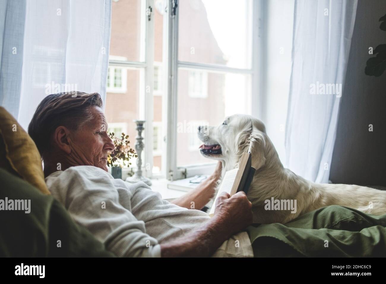 Senior man reading book while relaxing with dog on bed at home Stock Photo