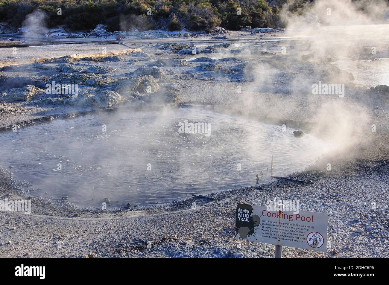 Cooking pool, Hell's Gate and WaiOra Spa, Rotorua, Bay of Plenty Region, North Island, New Zealand Stock Photo