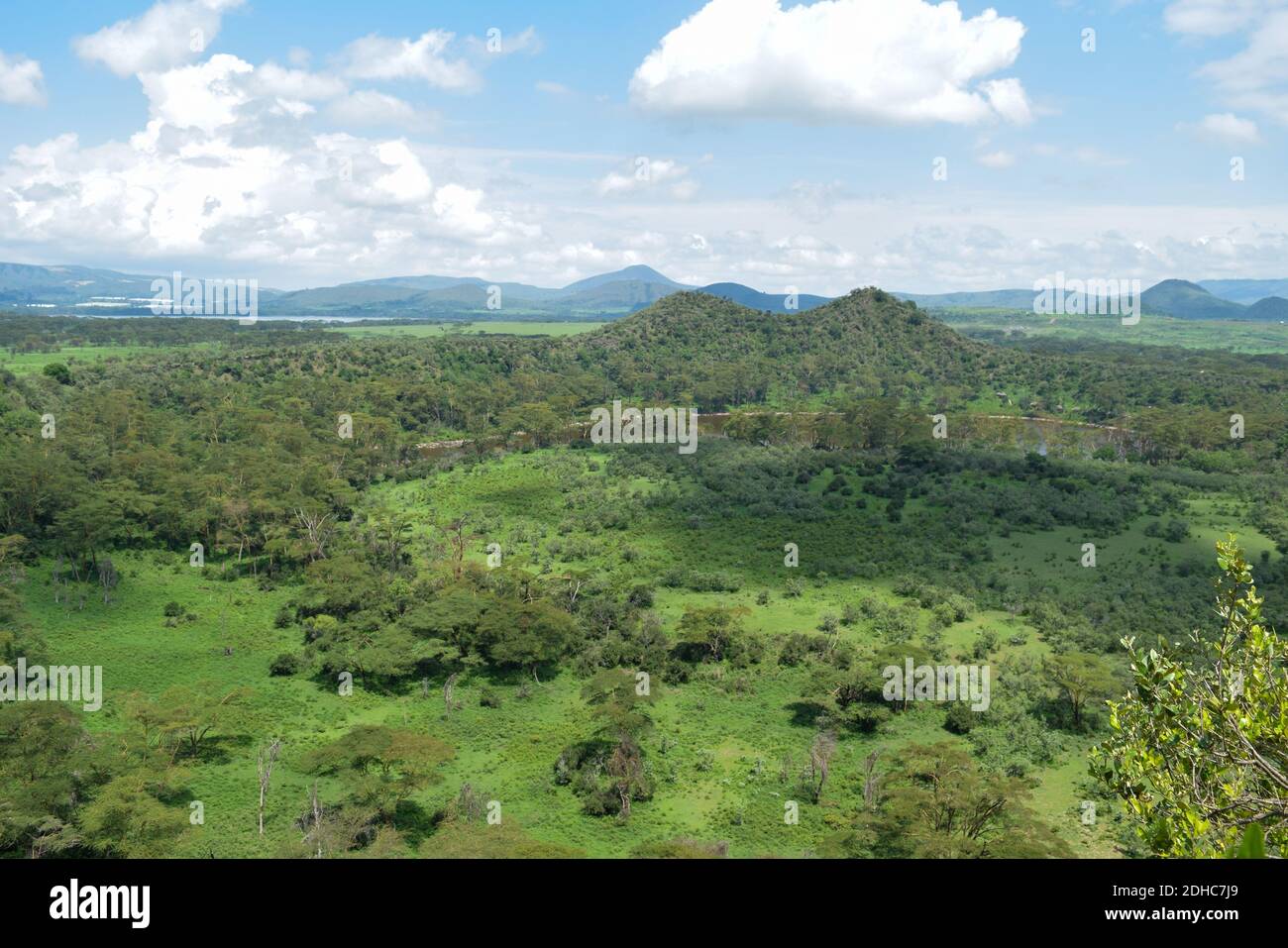 Game sanctuary hires stock photography and images Alamy