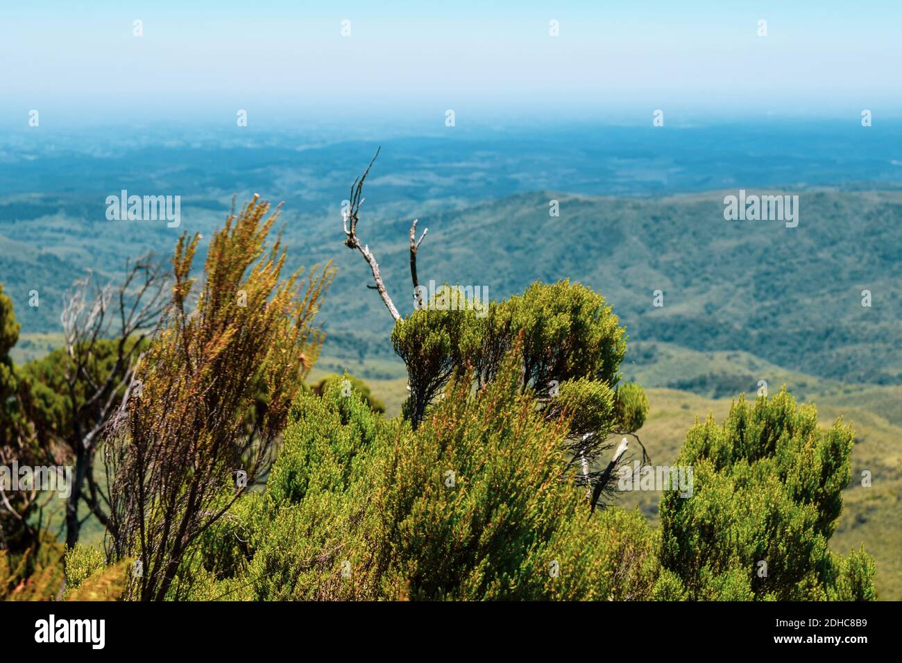 Scenic volcanic landscapes against sky in Aberdares, Kenya Stock Photo