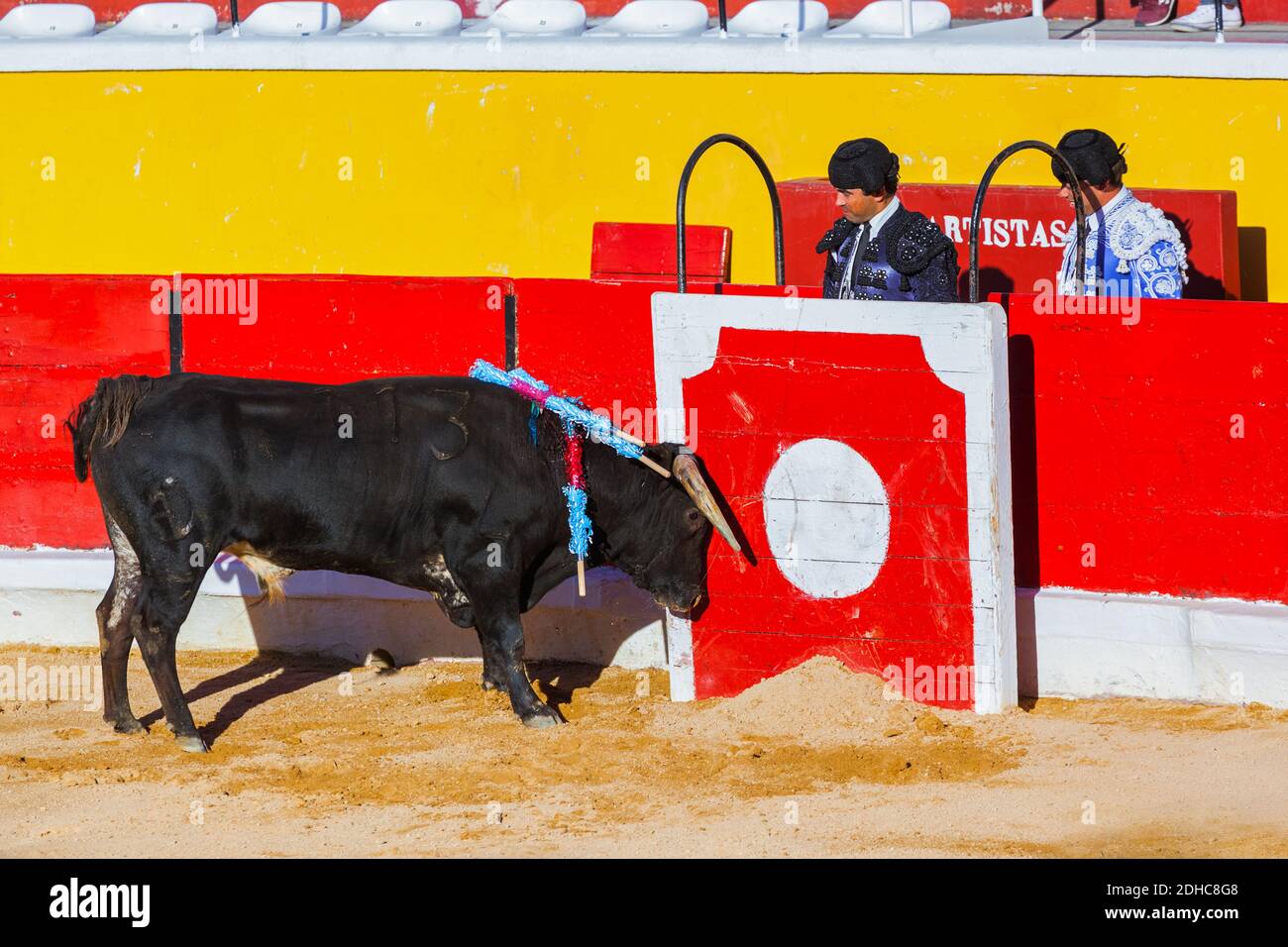 MOITA LISBON, PORTUGAL - SEPTEMBER 14: Matador and bull in tourada bullfight on September 14, 2016 in Moita Lisbon, Portugal Stock Photo