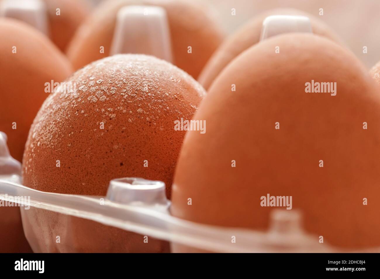 White mildew / mould growing on shell of eggs stored improperly in wet and cold fridge for long time Stock Photo