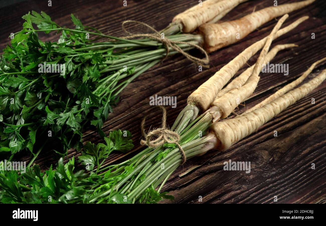 Parsley / parsnip roots with green leaves bunch, tied with cord, laying on dark wood rustic