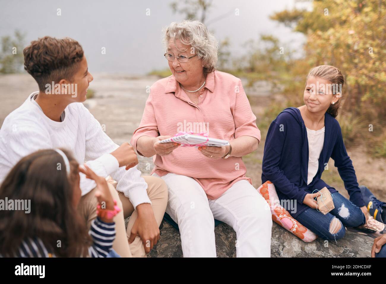 13 15 Years Picnic Group High Resolution Stock Photography and Images -  Alamy