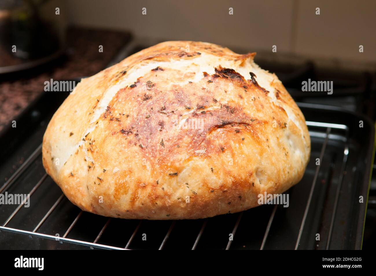 rosemary and garlic overnight bread hand made at home ina dutch oven
