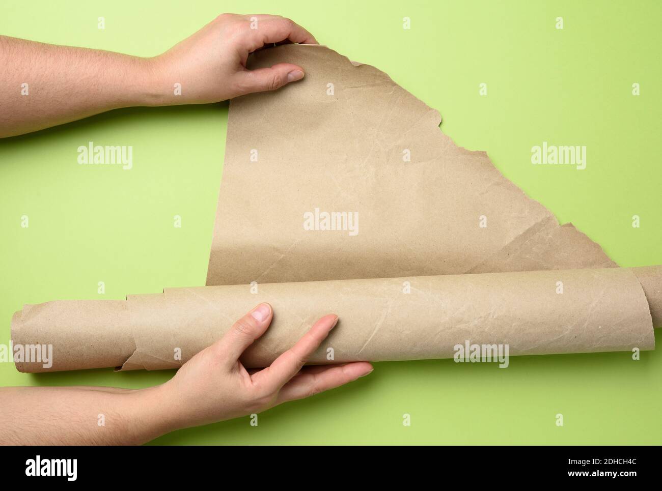 Two female hands hold rolled brown paper, green background Stock Photo