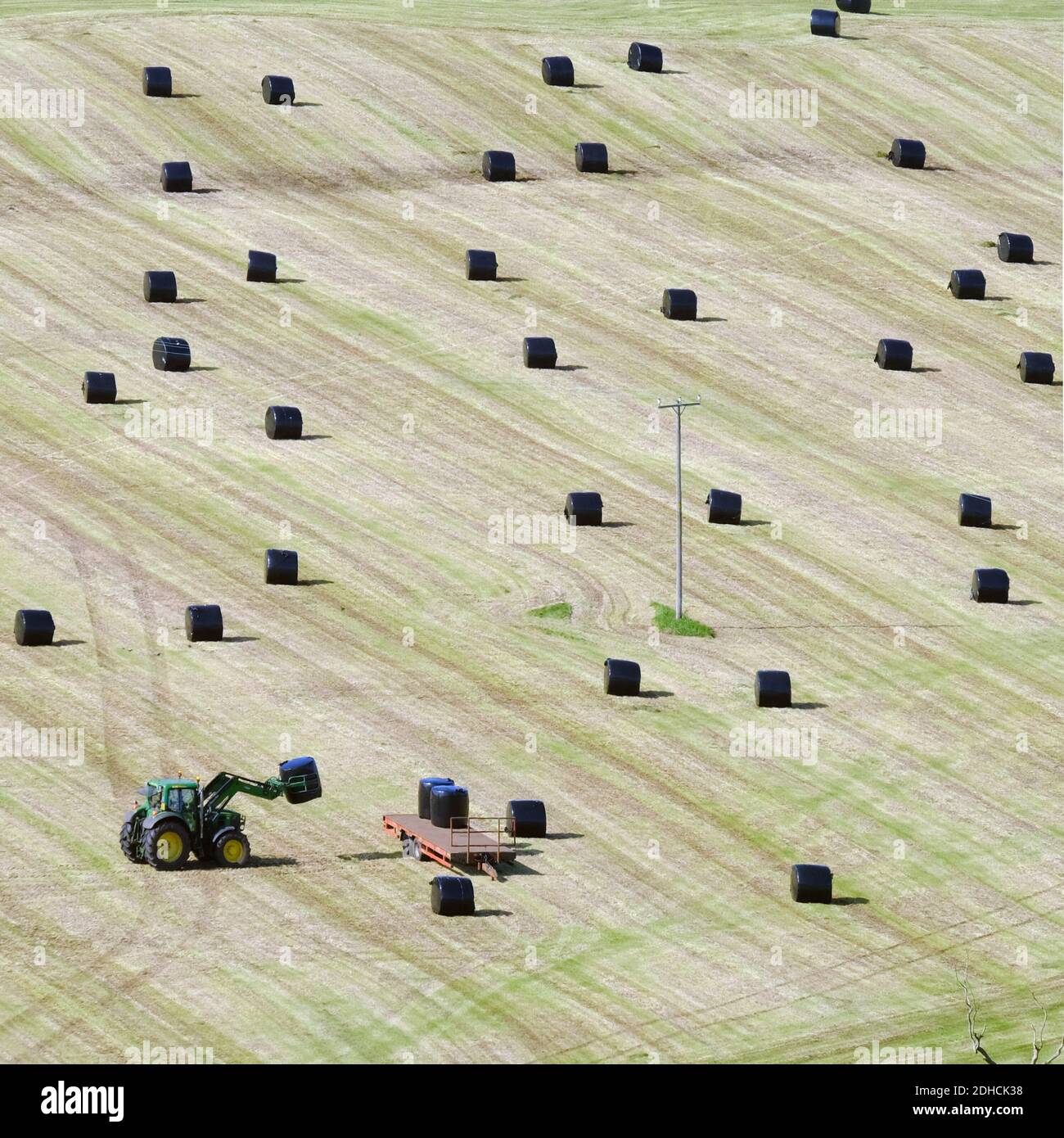 Silage Bales, County Antrim Stock Photo
