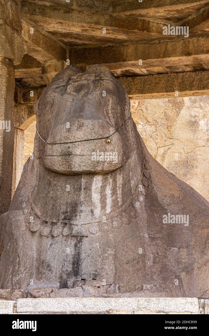 Hampi, Karnataka, India November 4, 2013 Frontal closeup of gray