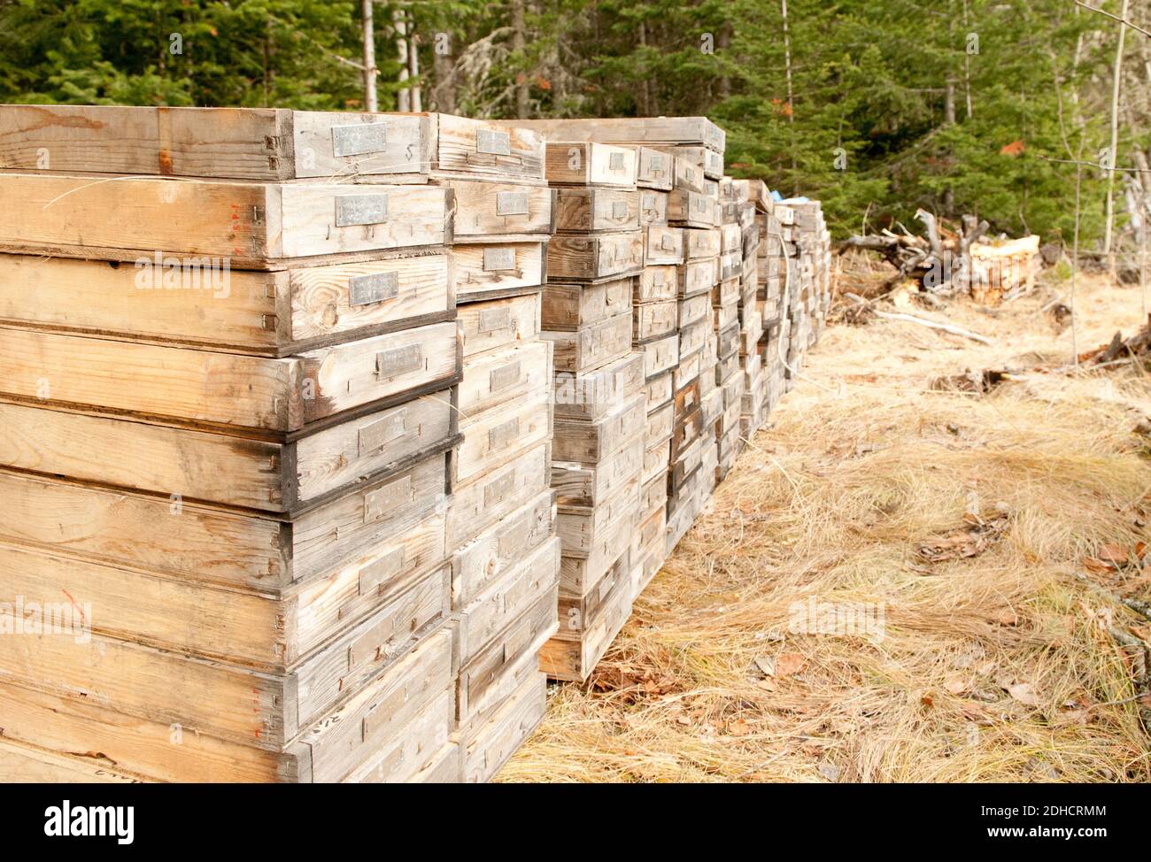 mining core samples from test drilling rigs Stock Photo Alamy