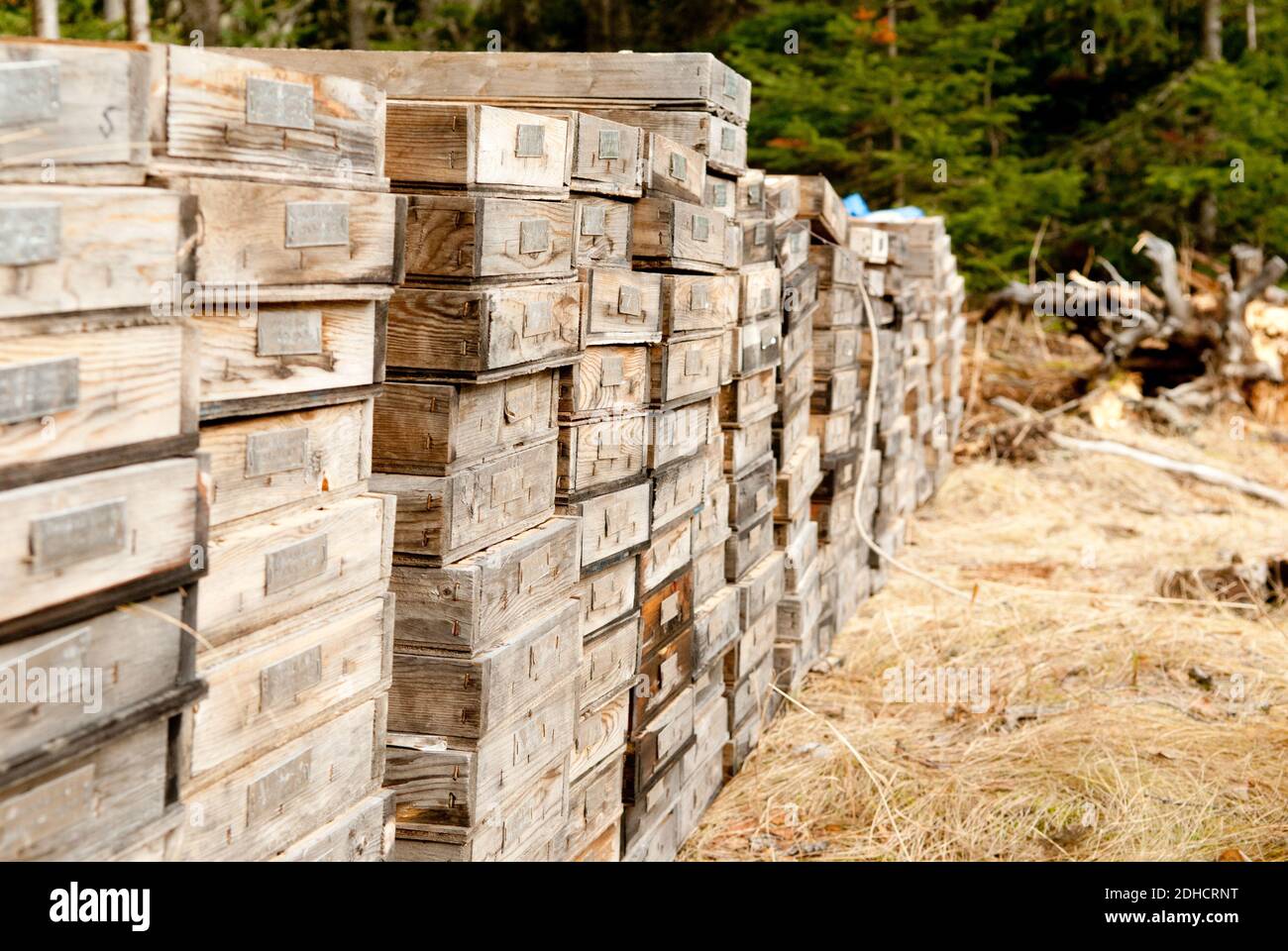 mining core samples from test drilling rigs Stock Photo Alamy