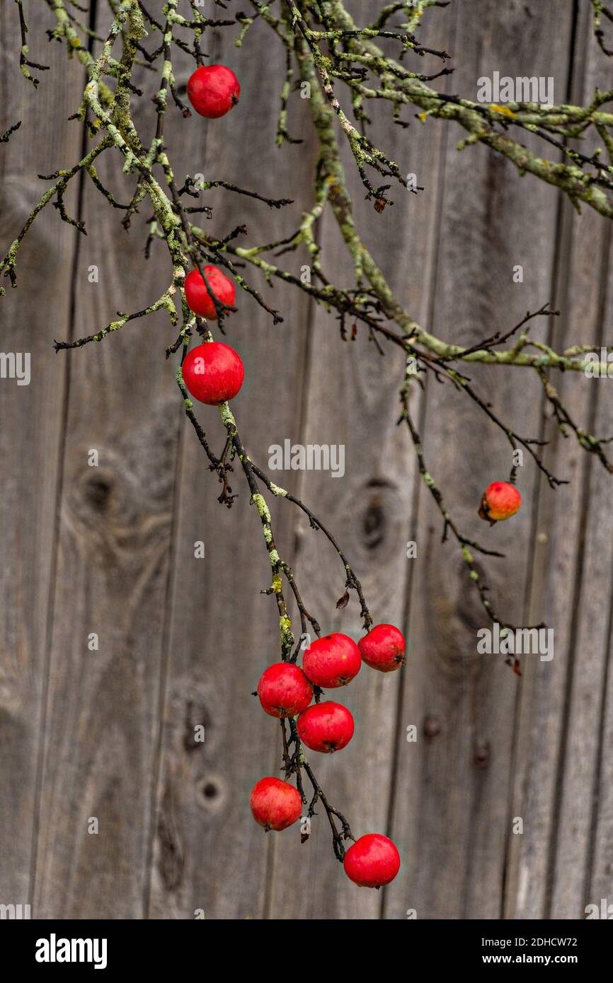 Old docks mist hires stock photography and images Alamy