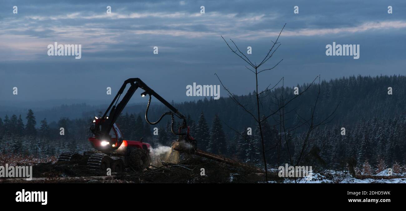 a forest harvester working in an icy winter forest Stock Photo