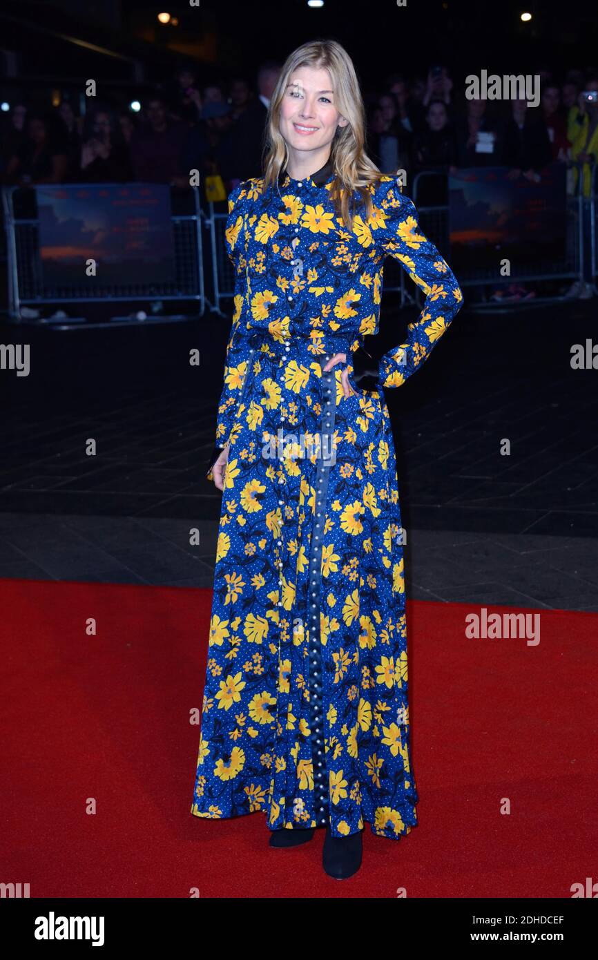 Rosamund Pike attending Three Billboards Outside Ebbing, Missouri