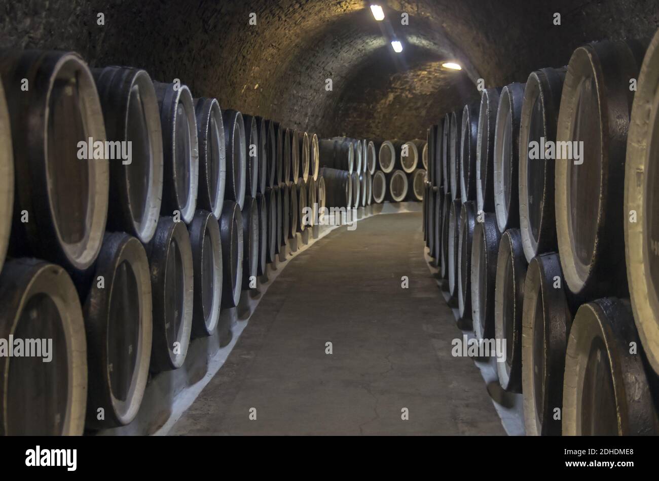 Oak barrels with wine in the winery sellars. Crimea. Stock Photo