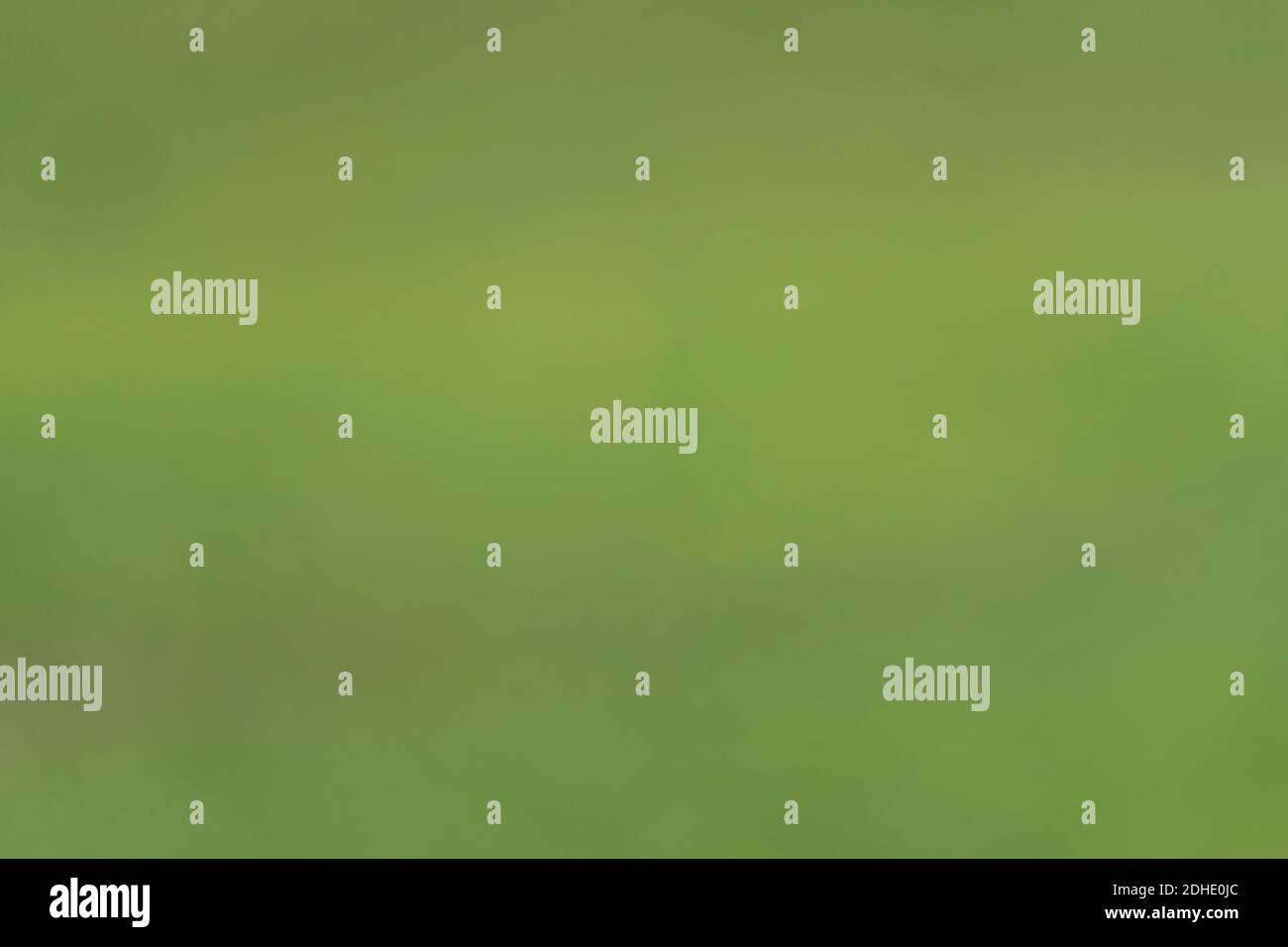 blurred green background with space for text bokeh Stock Photo