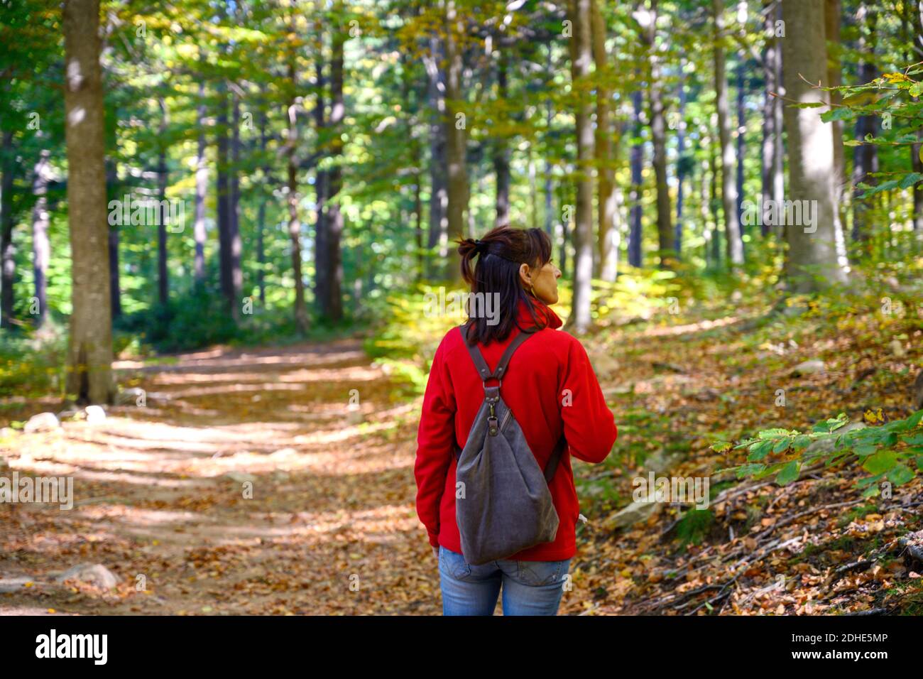 Rear view of a backpacker woman hiking into green forest Stock Photo ...
