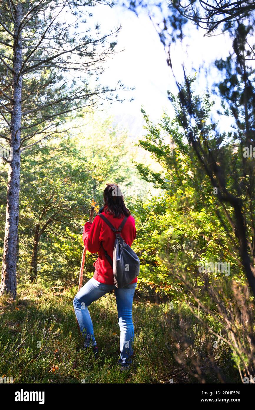 Rear view of a backpacker woman hiking into green forest Stock Photo ...
