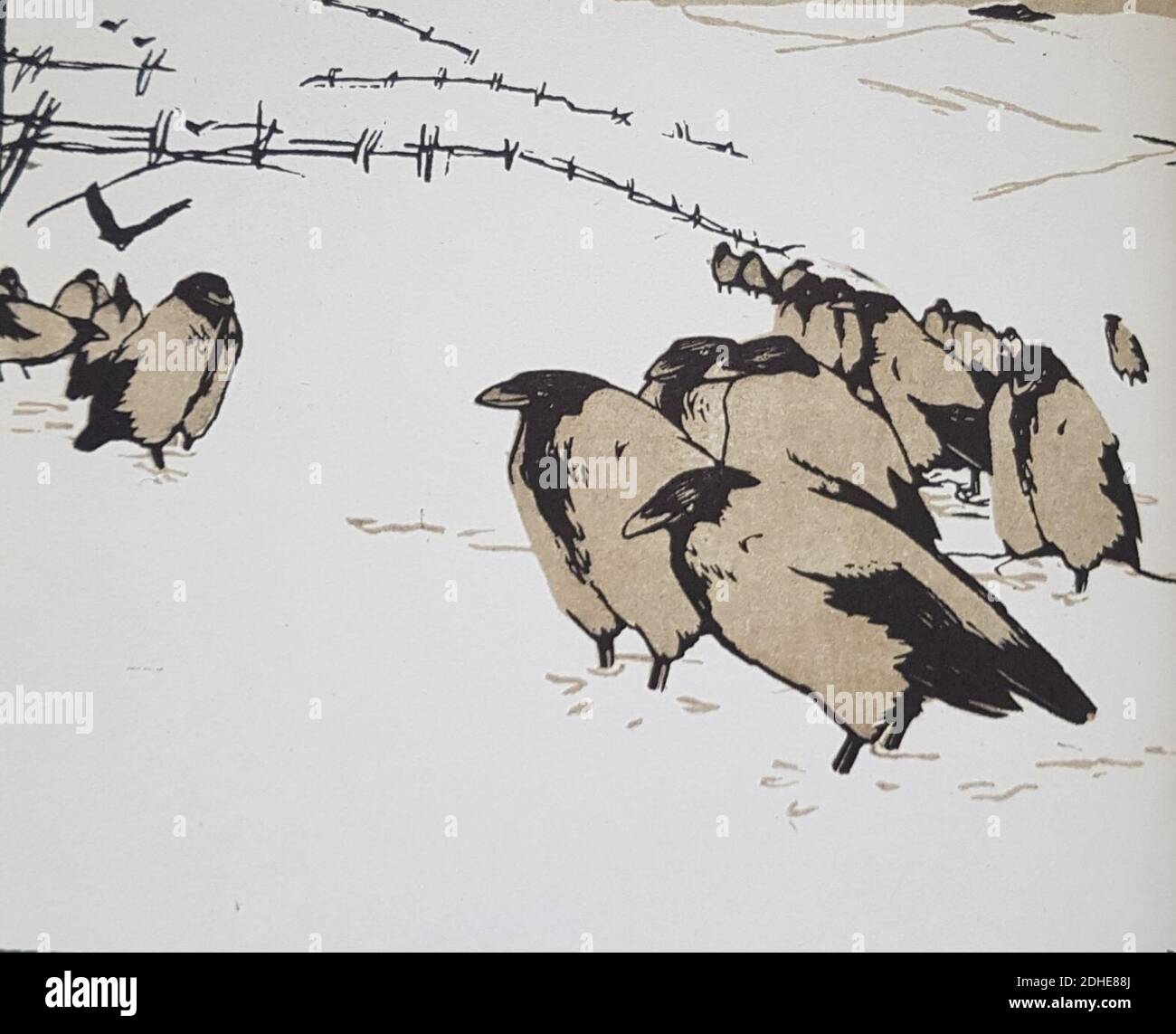 Kråkor o snö x Carl O. Petersen Stock Photo - Alamy