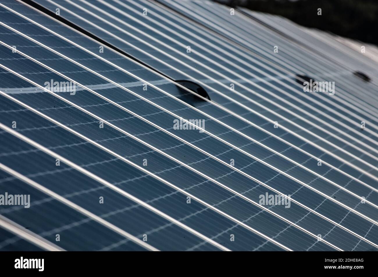 Solar Field Austin Solar field in Texas Stock Photo - Alamy