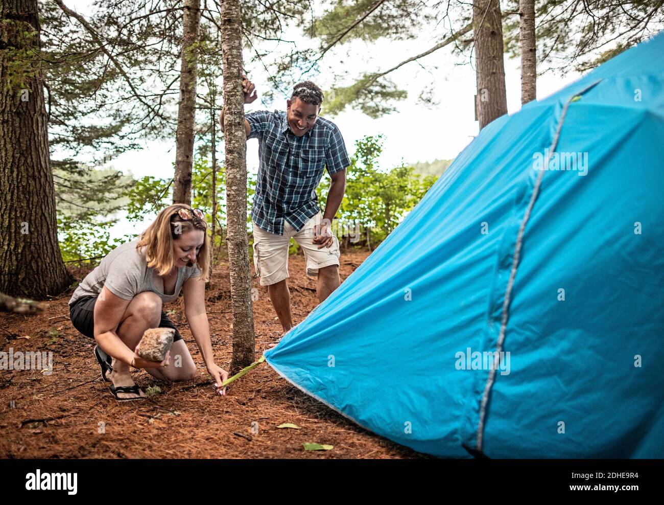 Multi racial couple smile and laugh while setting up blue tent, Maine Stock Photo