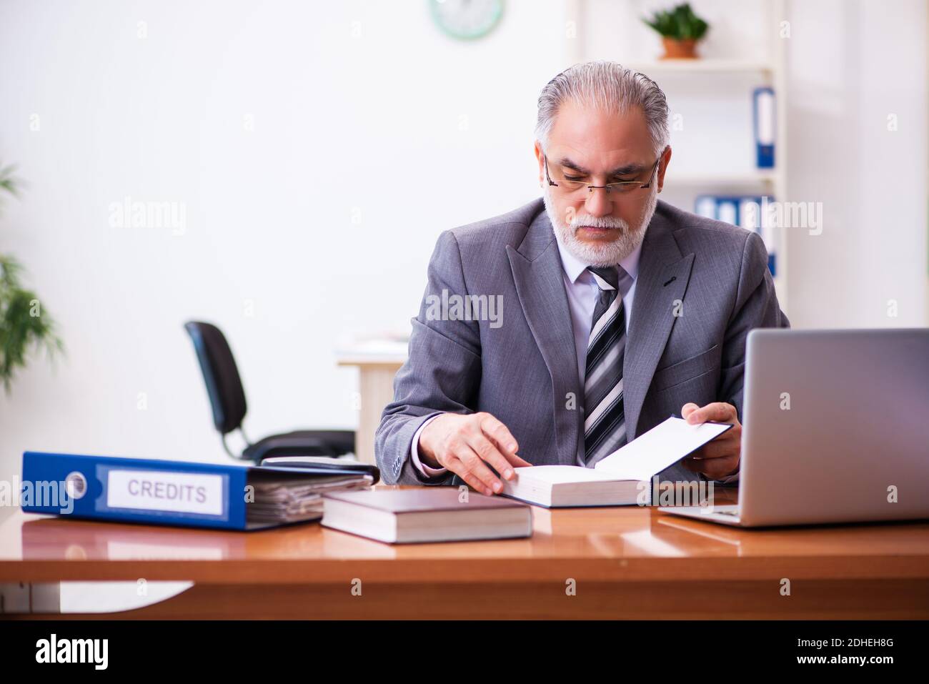 Old male businessman employee reading guidelines in the office stock