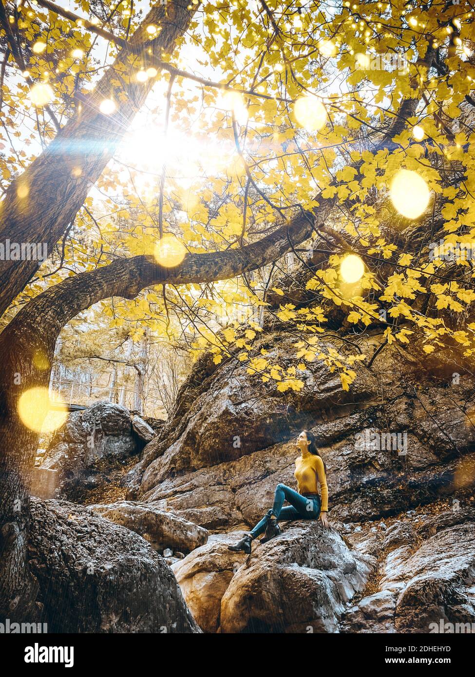 Beautiful girl sitting on the rock in the sunset forest. Picture demonstrating illuminating yellow color in nature and daily life Stock Photo