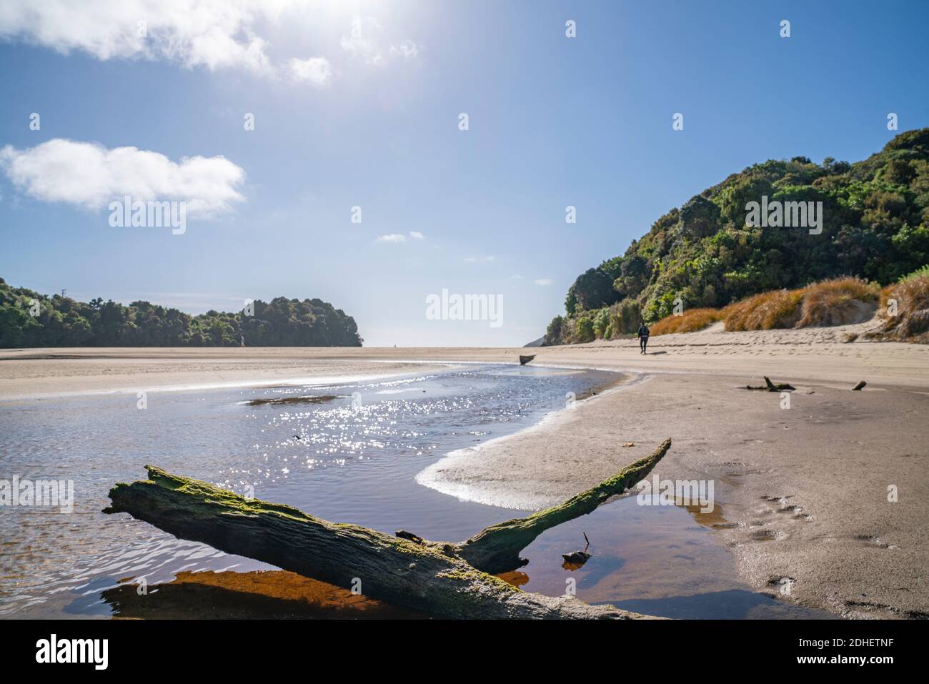 Shallow stream with old log across low tide beach looking into sun in idyllic summer beach scene at Mill Creek, Stewart Island. Stock Photo