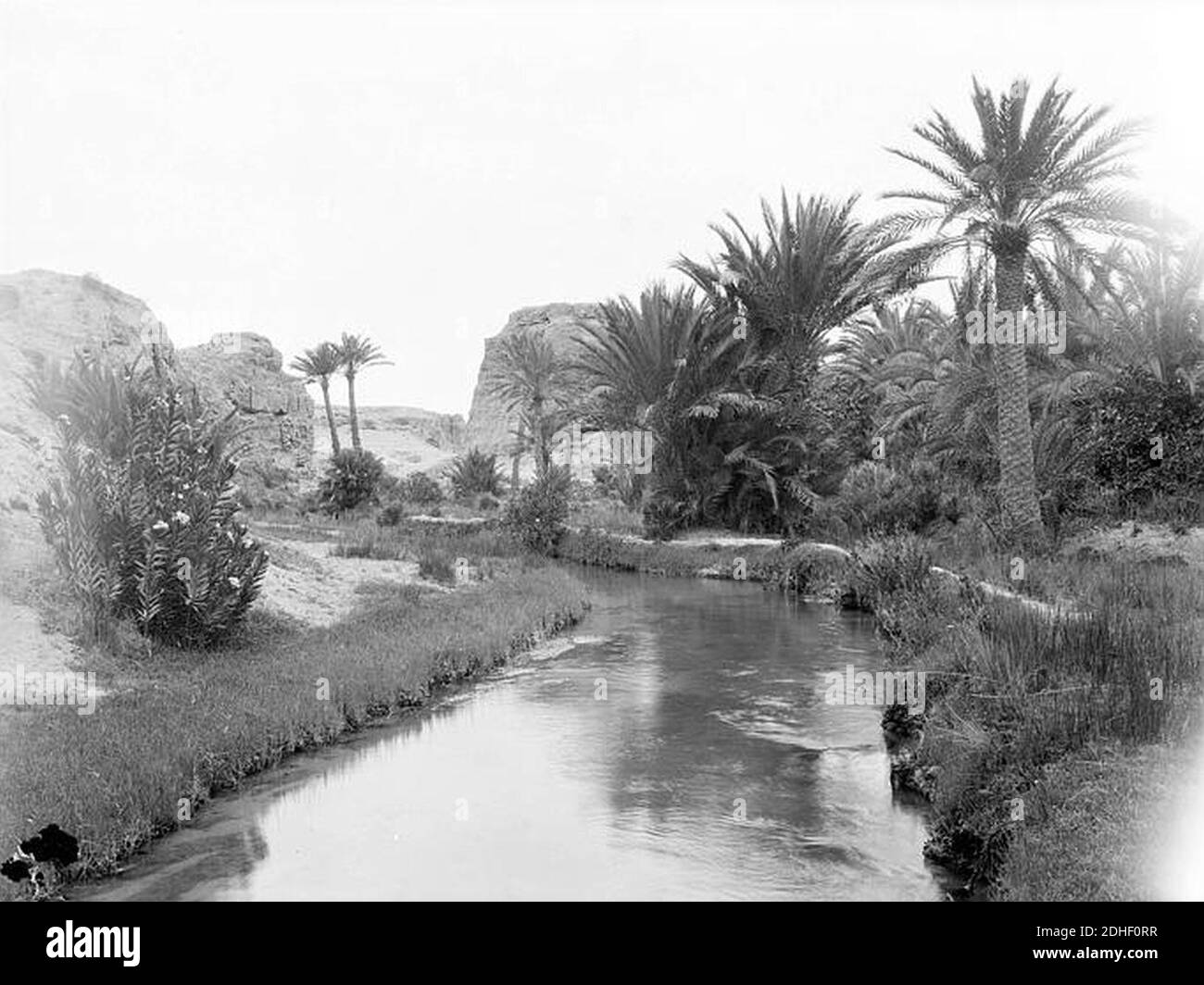 L'oued BouAlloudah à Gabès (Tunisie) vers 1925 Arlaud