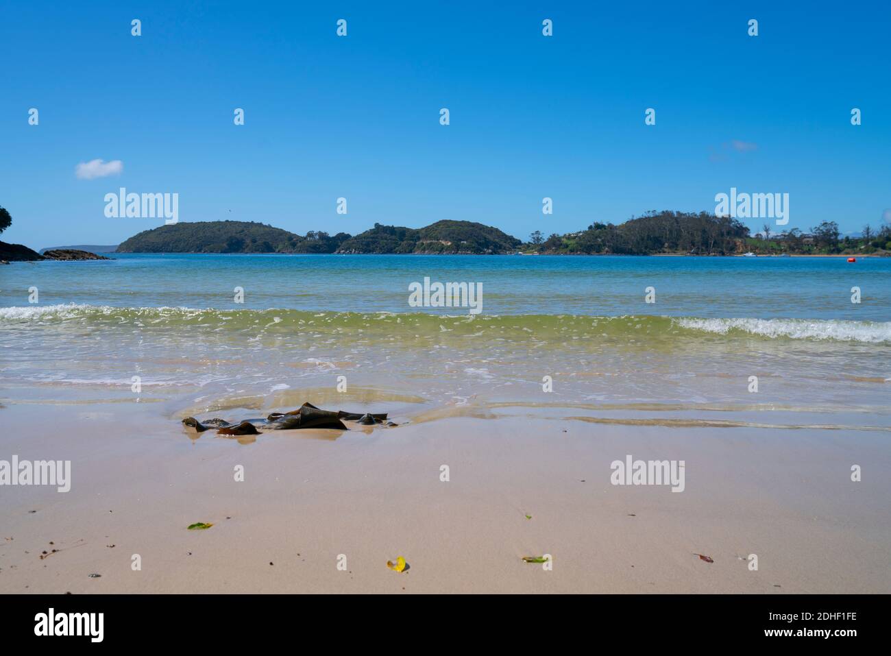 Water's edge Butterfield Beach on Stewart Island Stock Photo