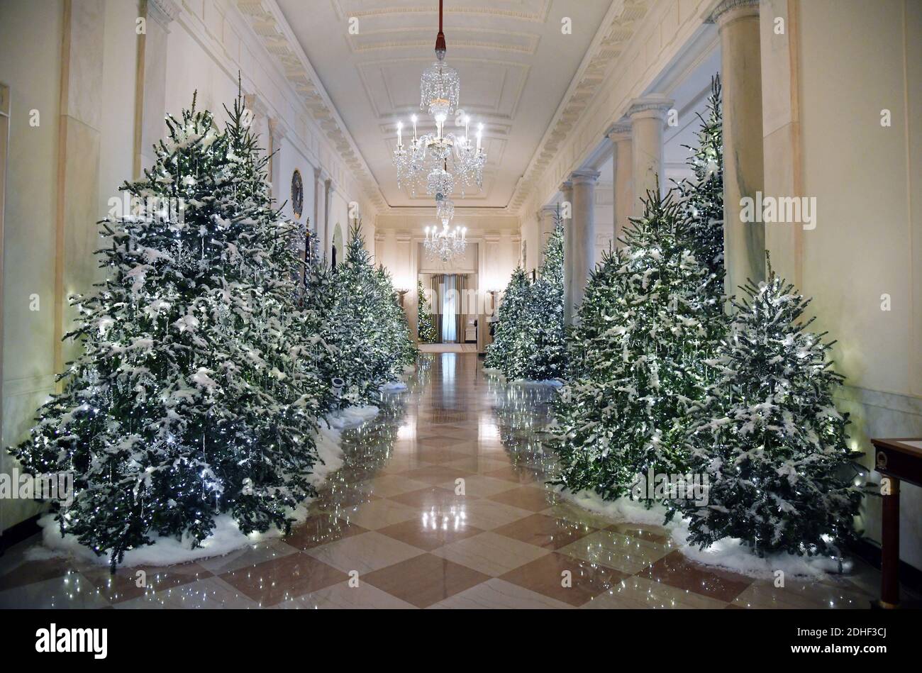 Christmas trees and holiday decorations are seen in the Grand Foyer of