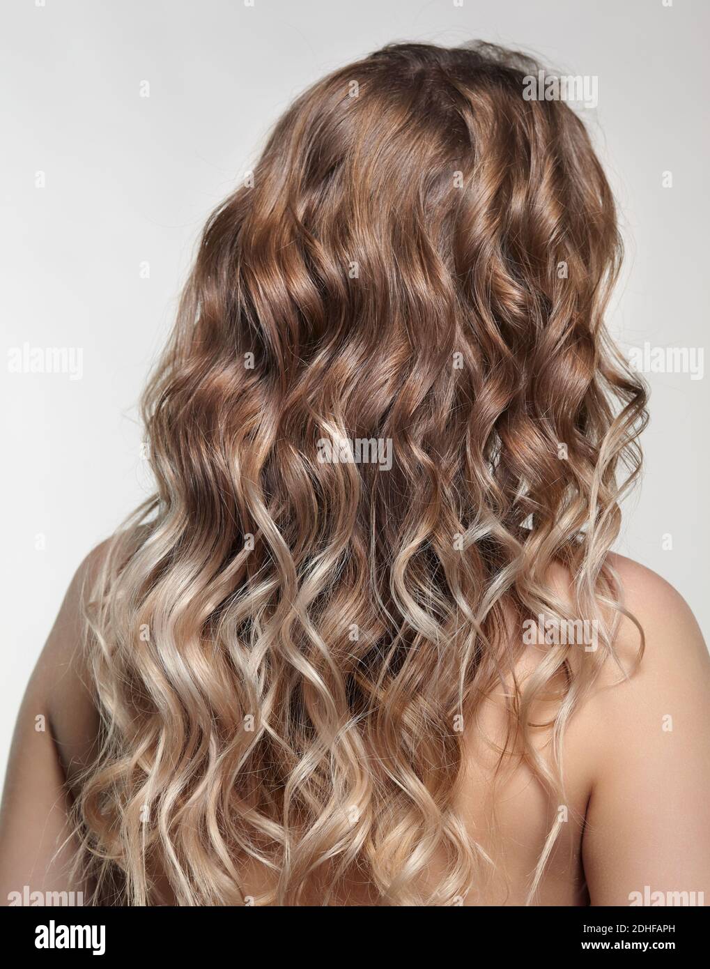 Woman from backside on gray background. Female with curly hair Stock Photo