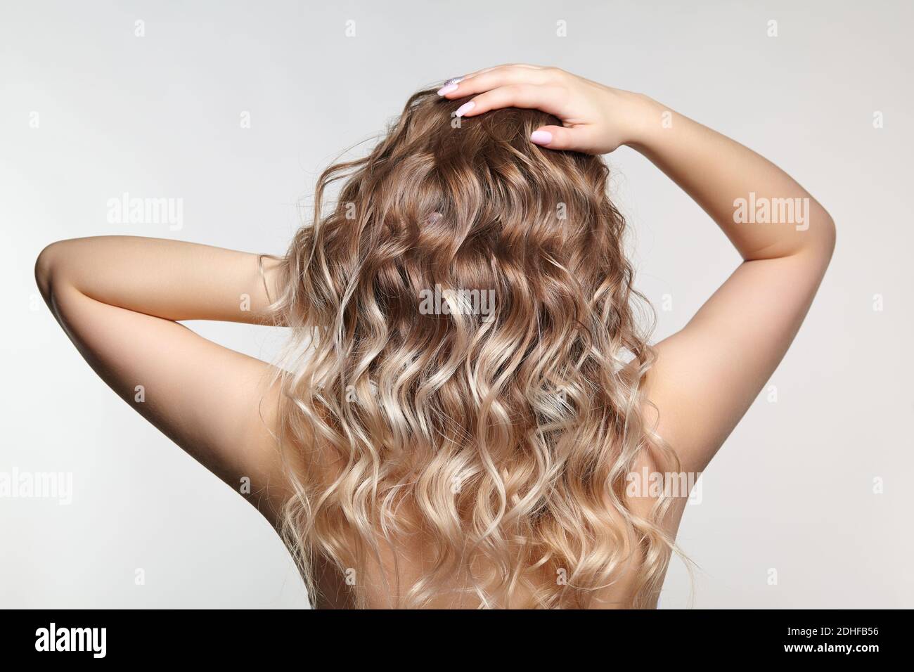 Woman from backside on gray background. Female with curly hair Stock Photo