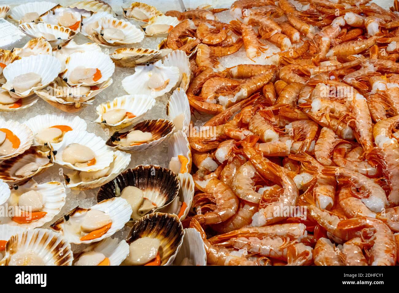 Mediterranean scallop and shrimps for sale at a market in Venice, Italy Stock Photo