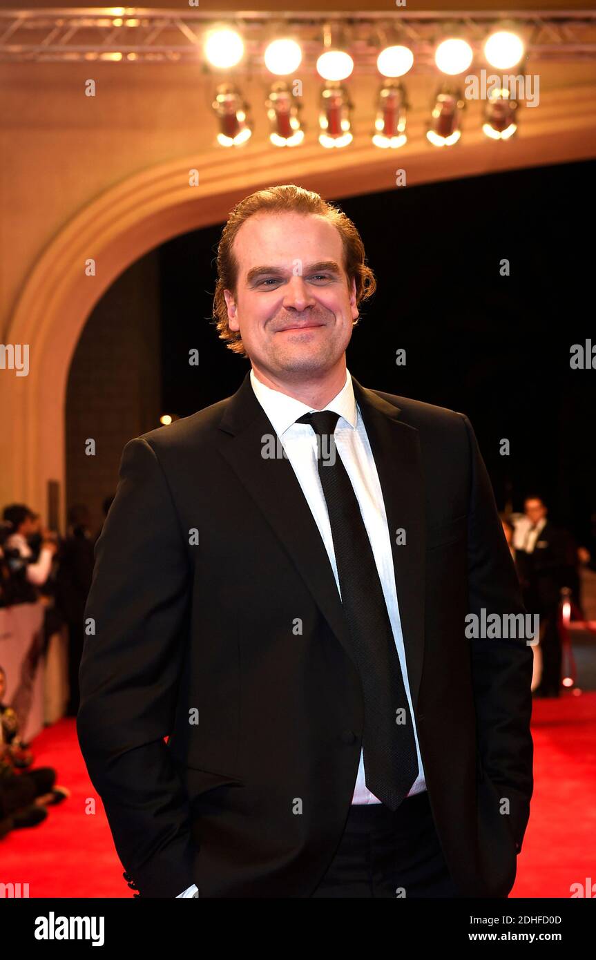 David harbour dubai hi-res stock photography and images - Alamy