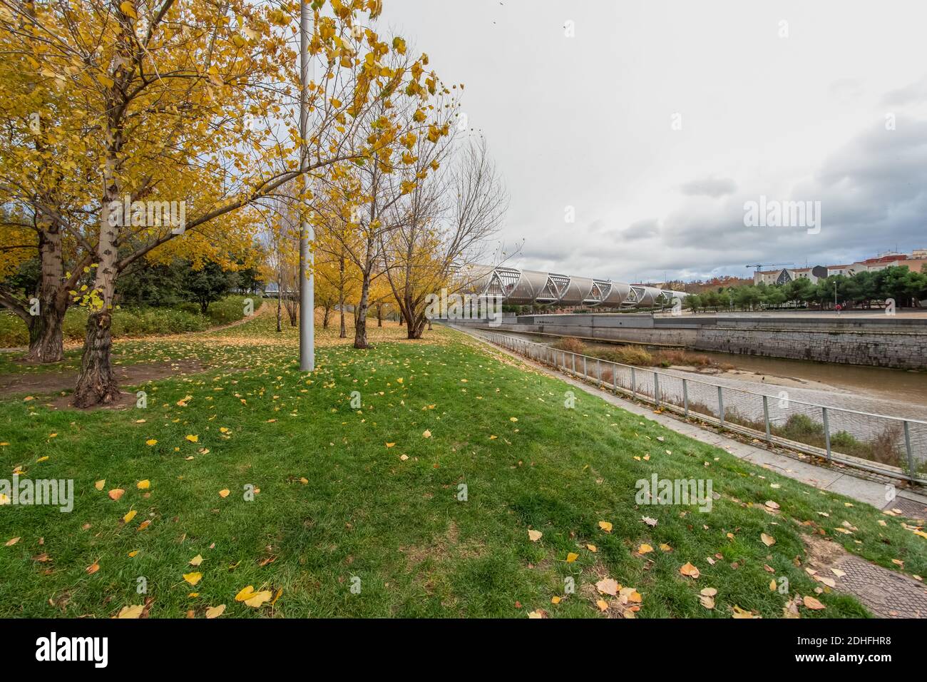 Colourful autumn trees with yellow leafs in the Madrid Rio, the park of the Manzanares River in Madrid, Spain. Stock Photo
