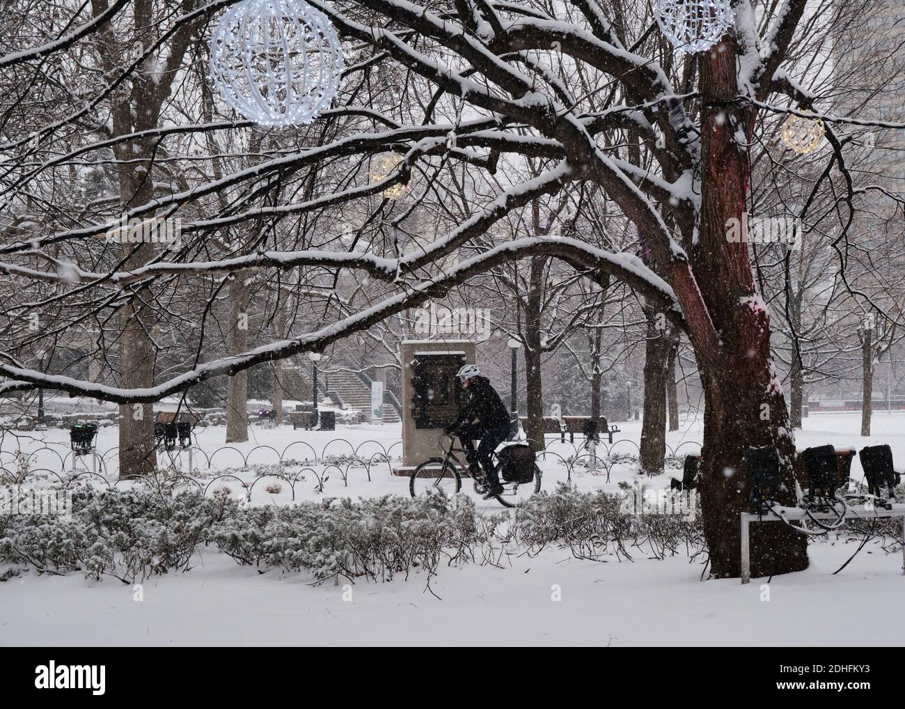 Person cycling in a city centre park with many trees and christmas hangings during a snow storm Stock Photo