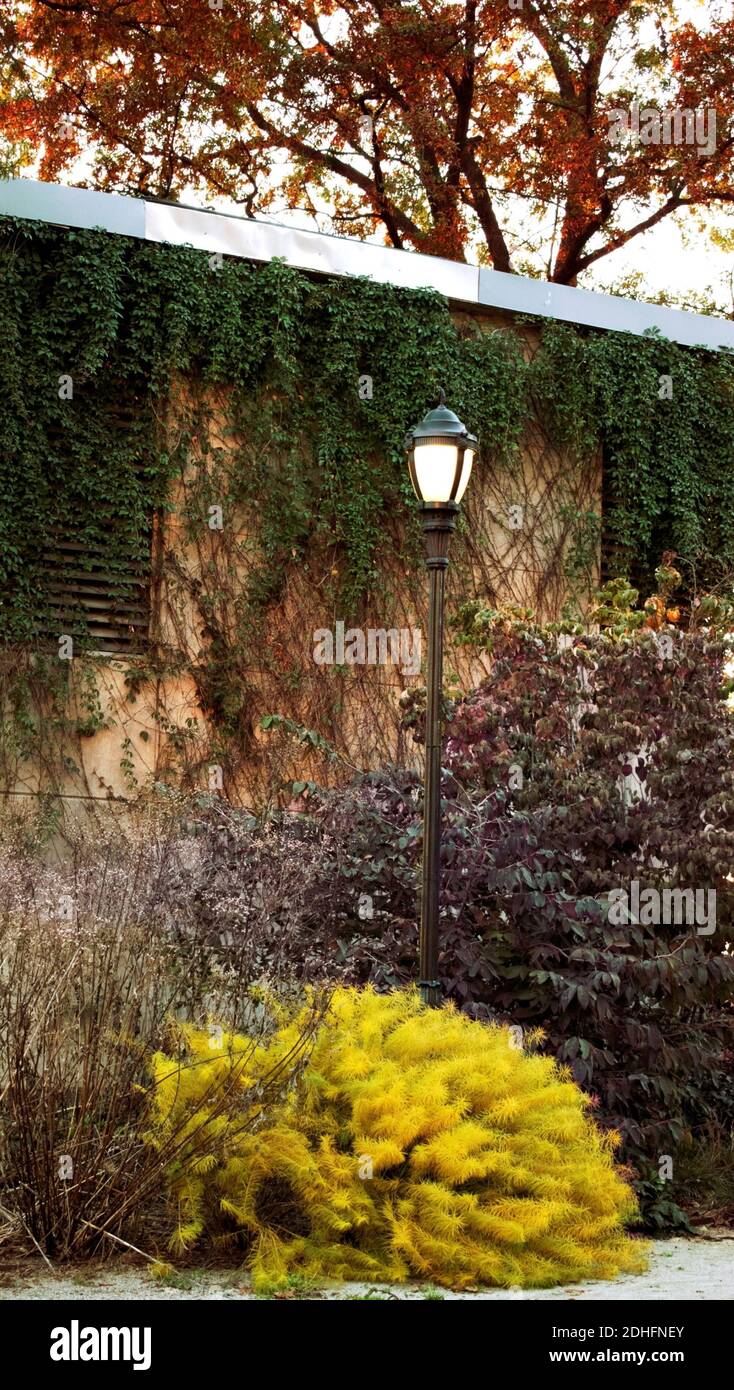 street lamp lit in a romantic park with autumn colors in new york Stock Photo