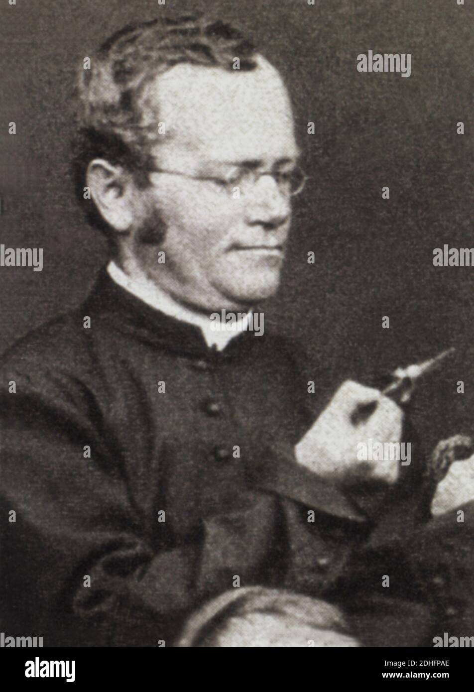 The bohemian scientist biologist GREGOR Johann MENDEL ( 1822 - 1884 ) , agostinian monch , founder of GENETICS with his research on green peas colture  for the THEORY OF EREDITY  - GENE - GENETICA -  BIOLOGIA -  BIOLOGY - ereditarietà - portrait - ritratto - monaco agostiniano - genetic - dominanza - disgiunzione - indipendenza ----   Archivio GBB Stock Photo