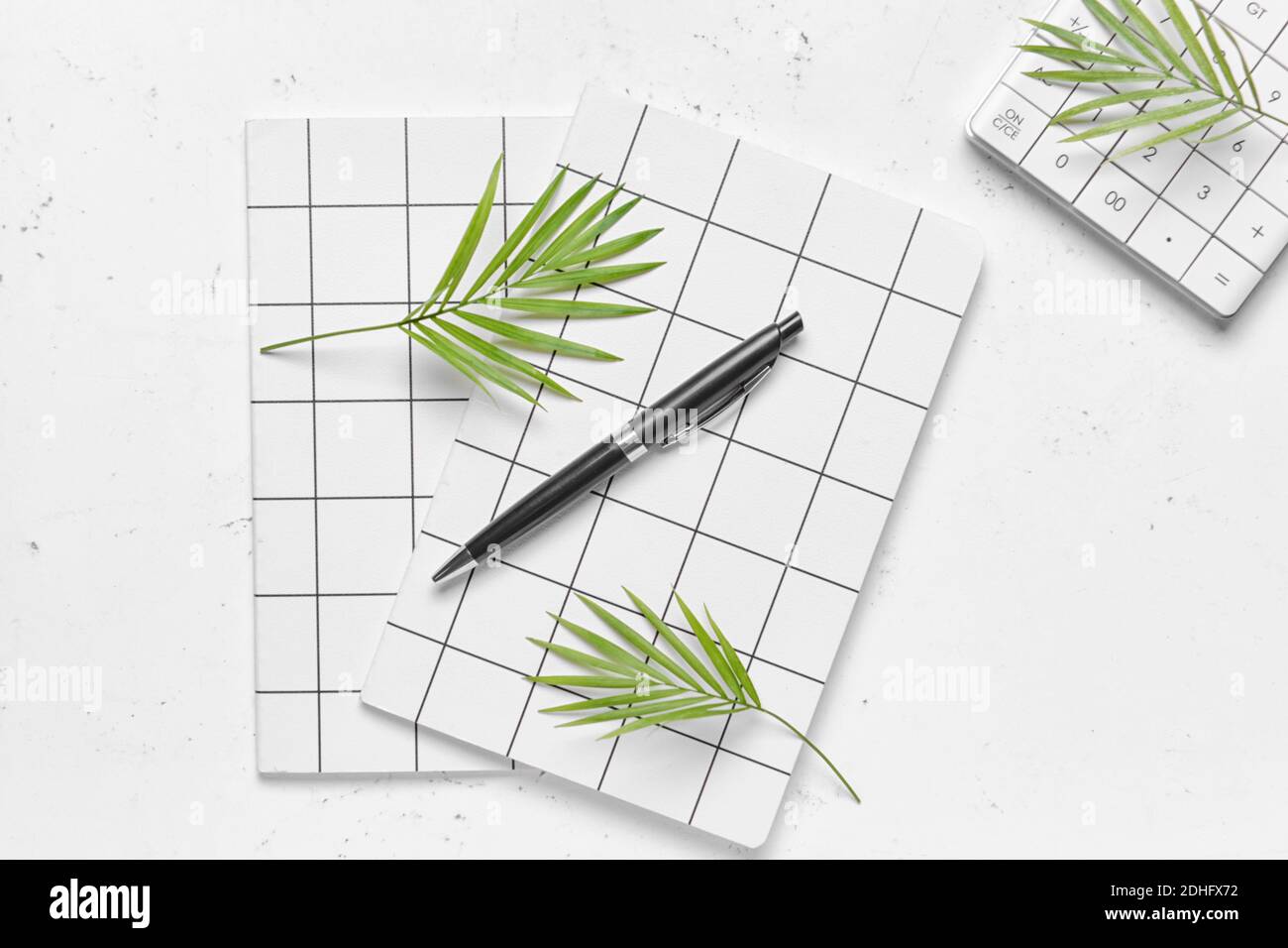 Notebooks with pen on light background Stock Photo