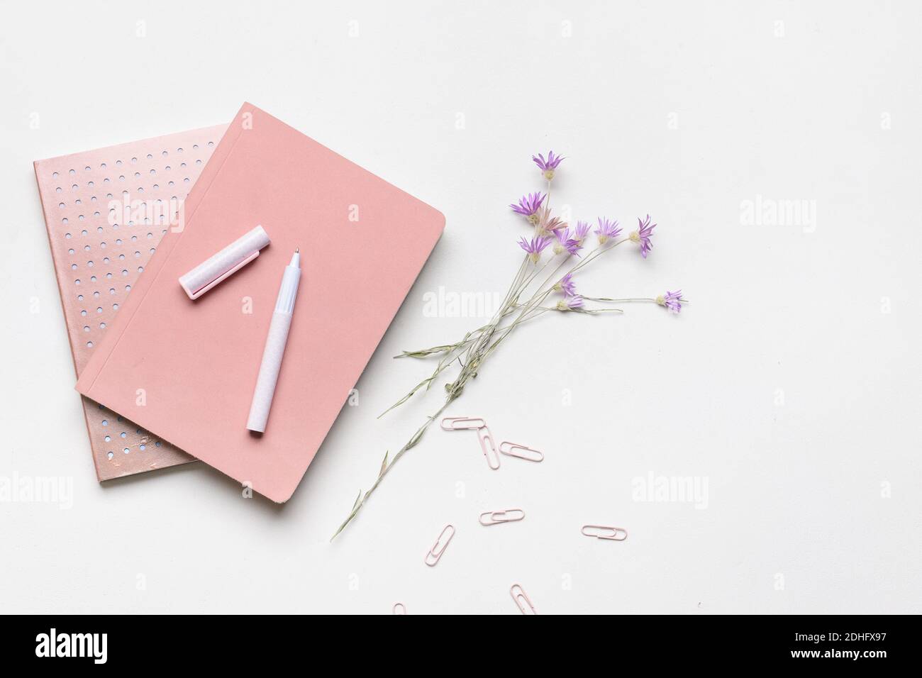 Notebooks with pen on light background Stock Photo