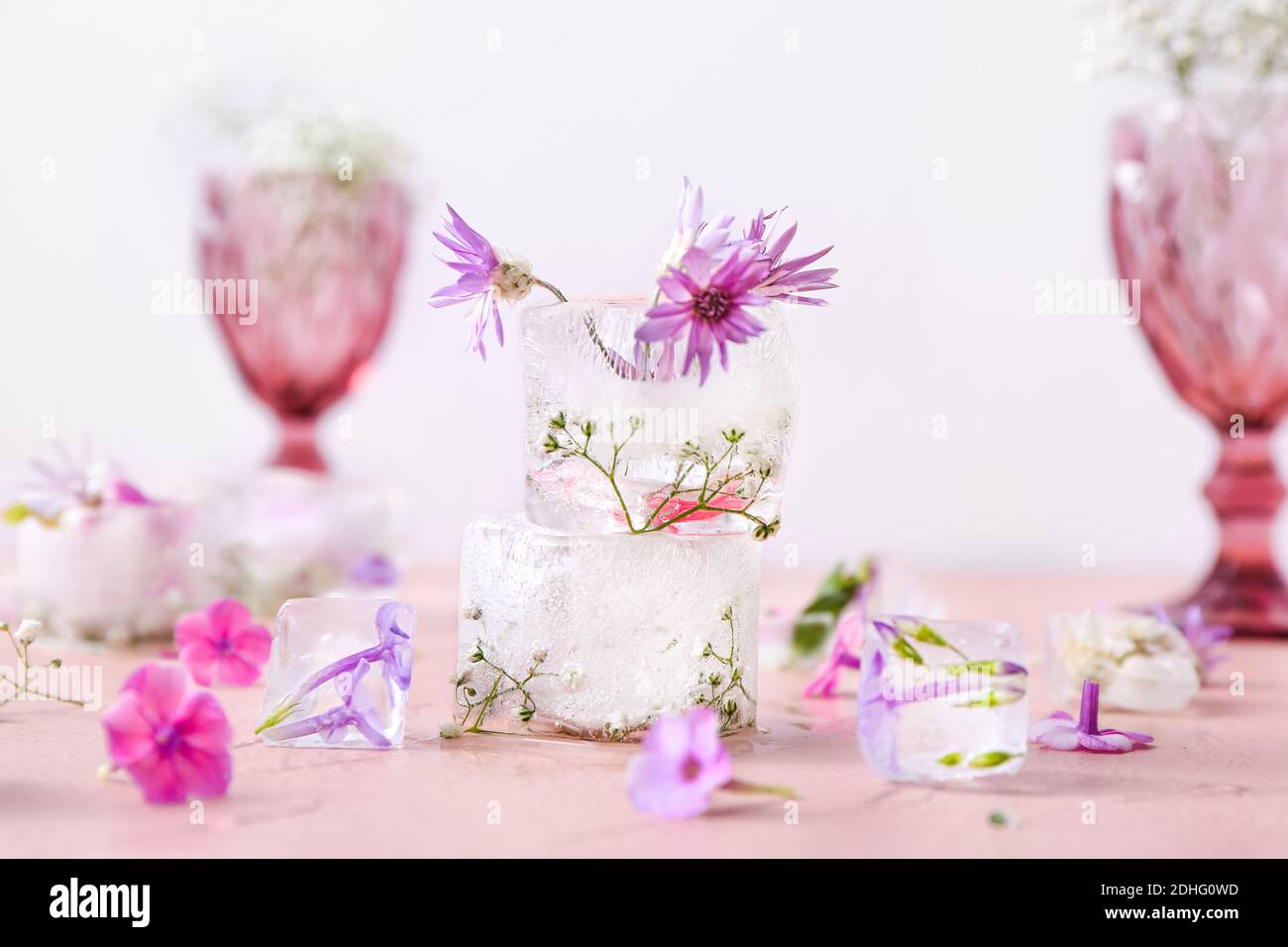 Glasses with beautiful flowers frozen in ice on color background Stock Photo