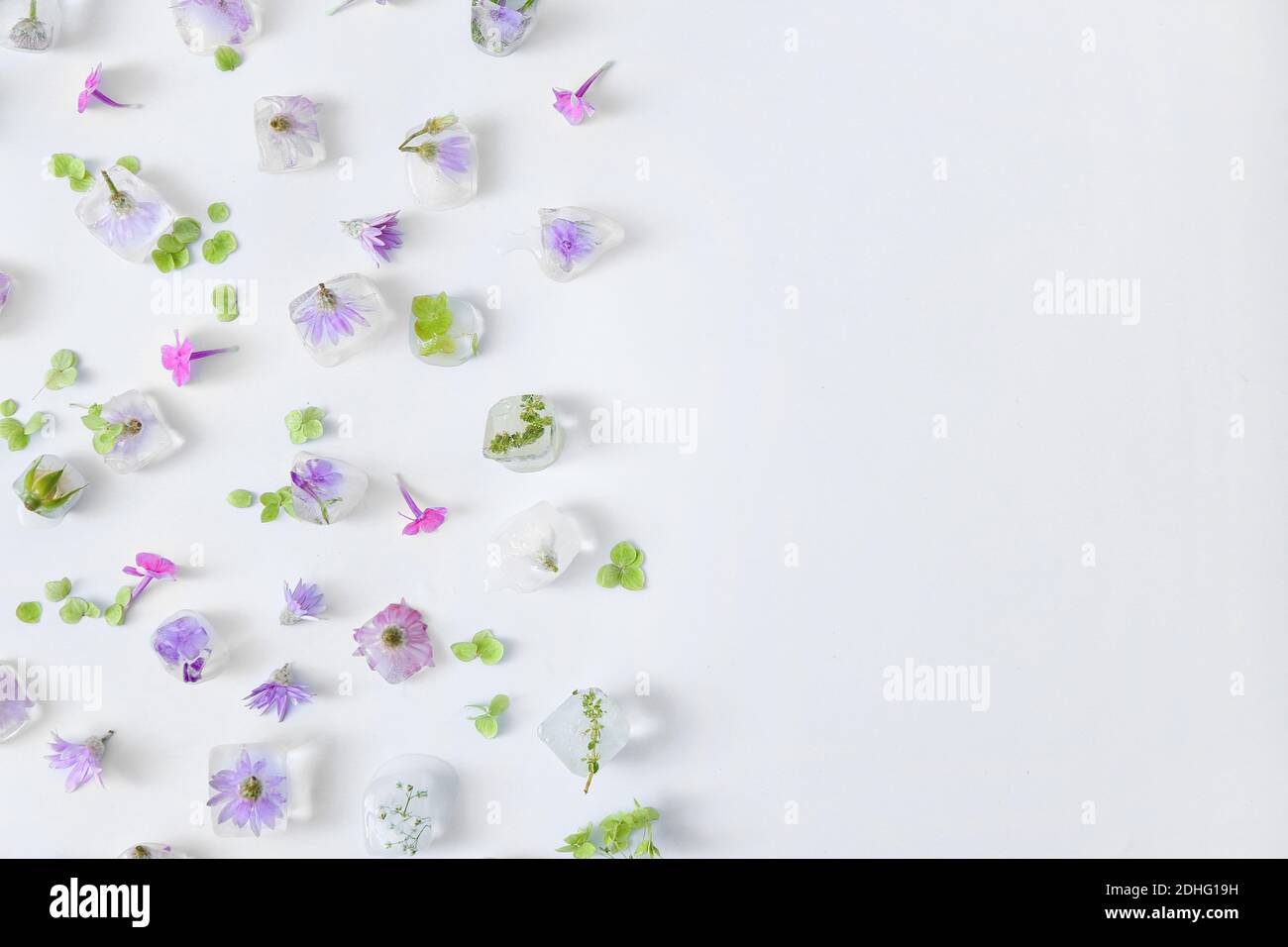 Beautiful flowers frozen in ice on light background Stock Photo