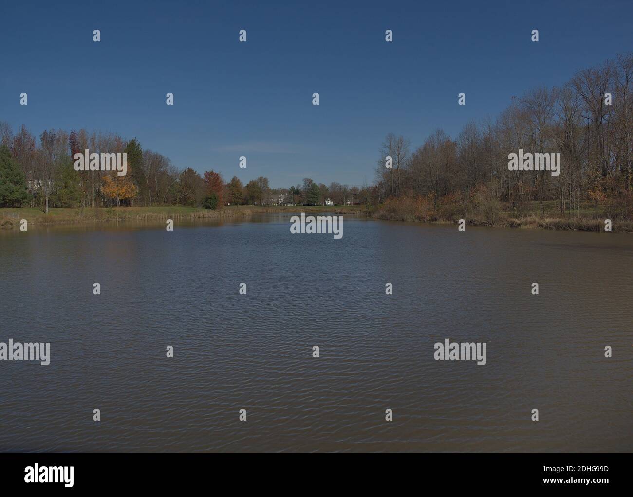 Landscape of tree lined pond view from center of pond Stock Photo - Alamy