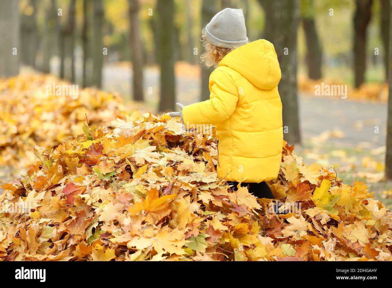 Cute little girl in autumn park Stock Photo - Alamy