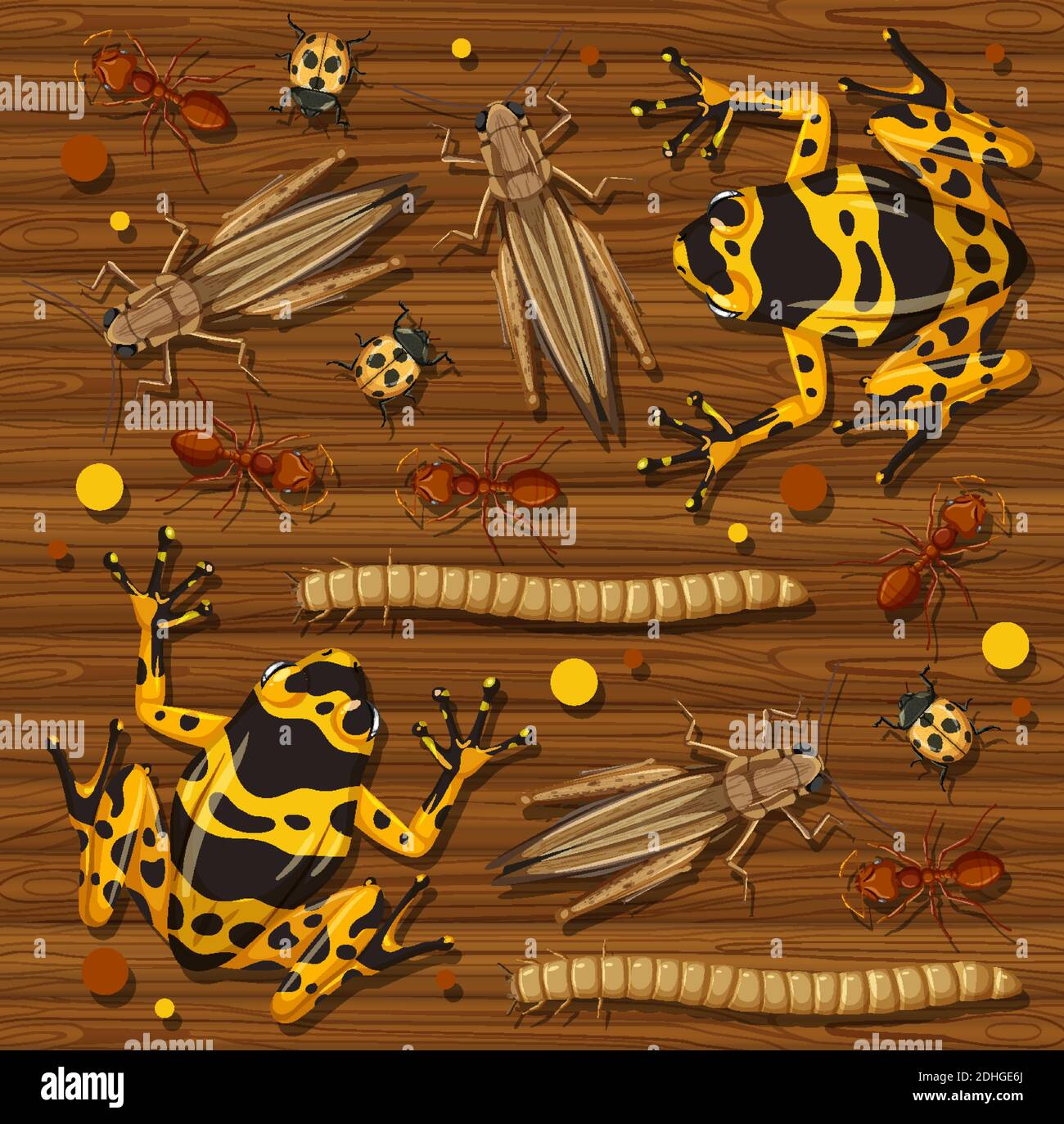 Set of different insects on wooden wallpaper background illustration ...