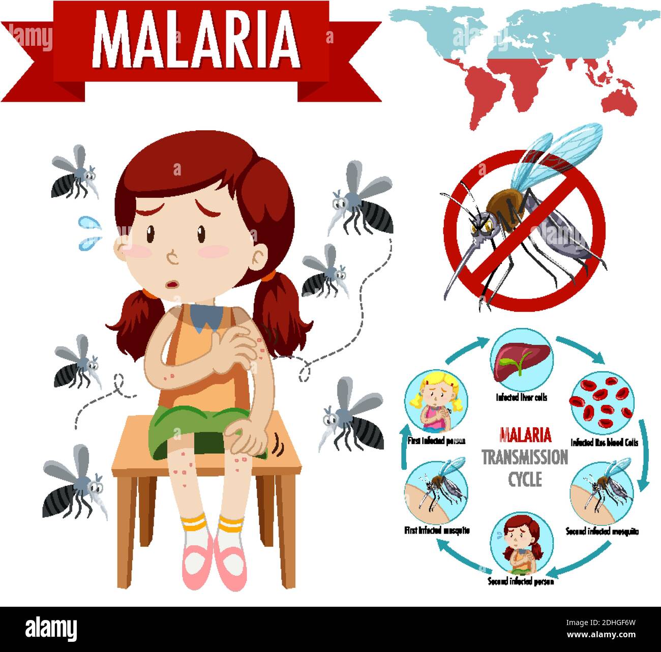 Malaria transmission cycle and symptom information infographic