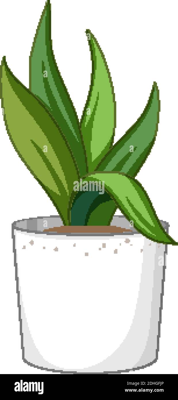Green plant in a white pot isolated on white background illustration ...