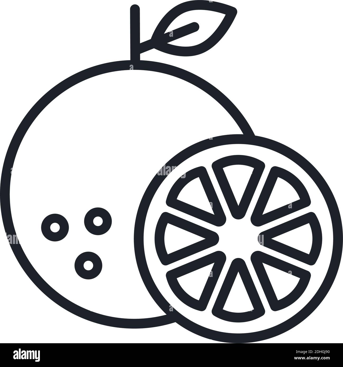 Orange icon. Orange slice. Vector linear icon, contour, shape, outline