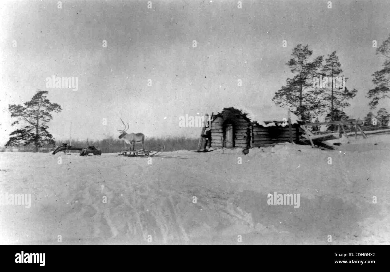 Kvensk badstue, et reinsdyr med slede utenfor. Neiden, Sør-Varanger, Finnmark, 1890-årene Stock Photo